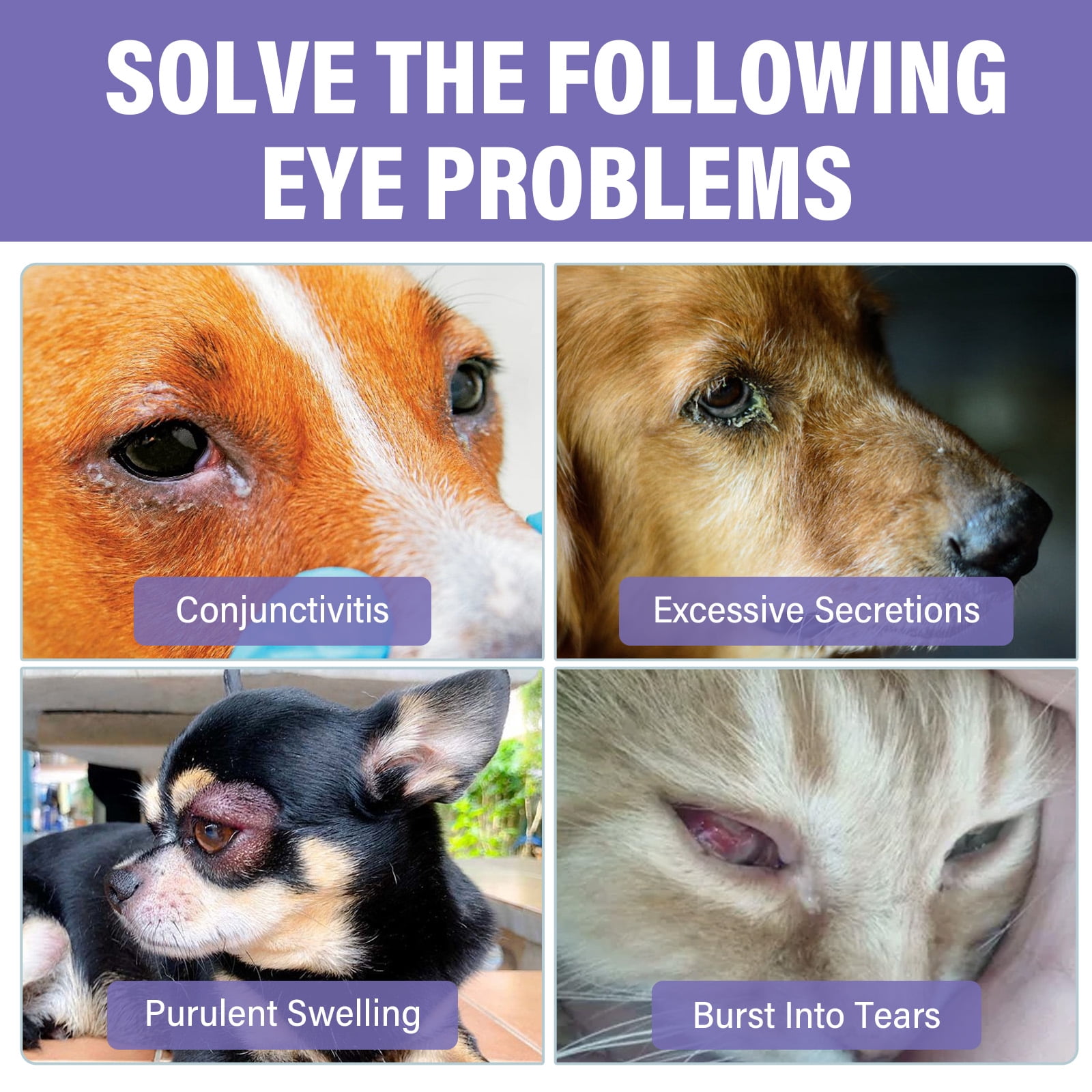 Dogs Eye Drops, Dogs Eye Infection Treatment, Relieve Red Eyes & Allergy Symptoms for All Animal, Dog Eye Wash for Cleaning Tear Streaks、Removing Eye Stains & Relieving Dryness