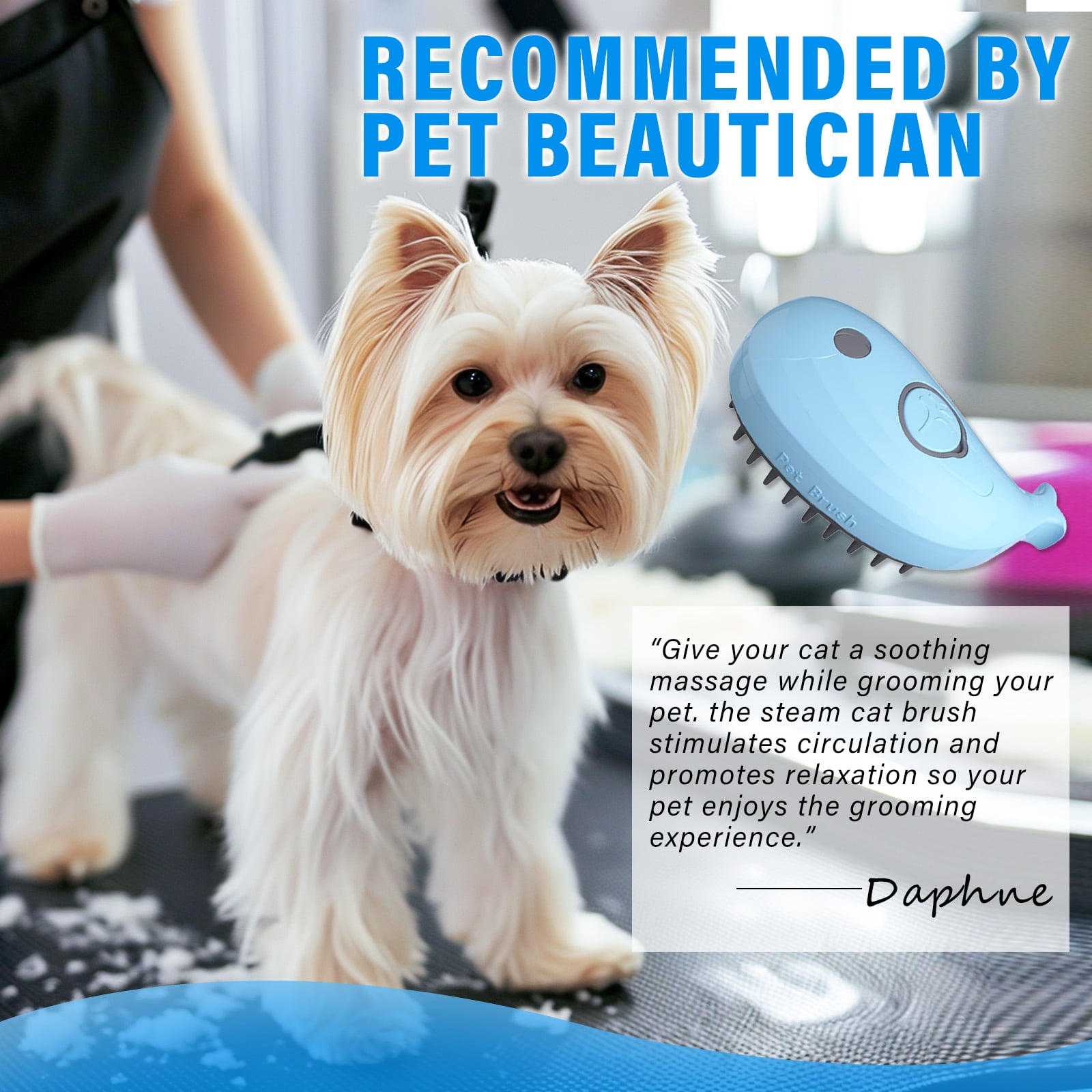 Steamy Pet Brush for Cats and Dogs, 3-in-1 Electric Spray Cat Brush for Indoor Cat, Rechargeable Pet Steam Brush for Shedding & Massage, Water Spray Hair Deshedding Tool for Tangled & Loose Fur, Blue