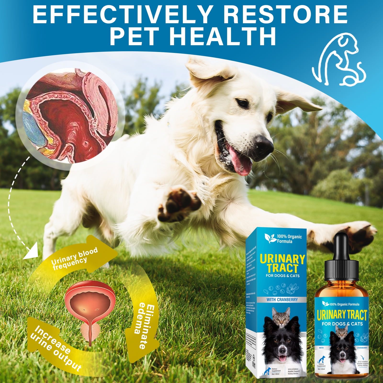 Cat & Dog UTI Treatment, Urinary Tract Infection Treatment for Cats and Dogs, 60ML